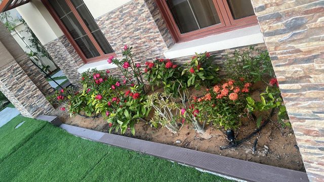 The list of famous landscaping companies in uae